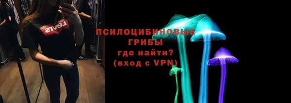стаф Сафоново