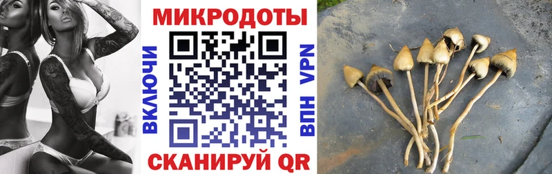 Псилоцибиновые грибы мухоморы  Истра 